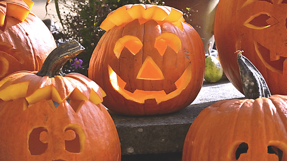 FAMILY PUMPKIN CARVING PARTY (1)